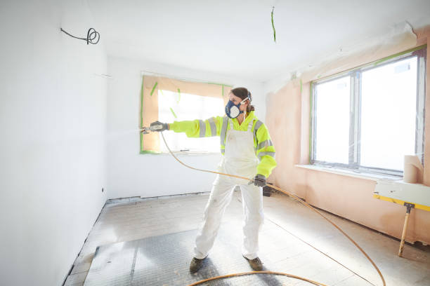 Best Ceiling Drywall Installation  in Carthage, NY