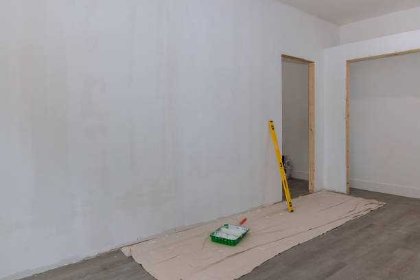 Best Drywall Removal and Disposal  in Carthage, NY